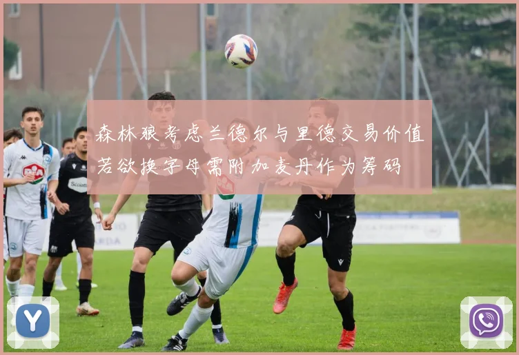 森林狼考虑兰德尔与里德交易价值若欲换字母需附加麦丹作为筹码