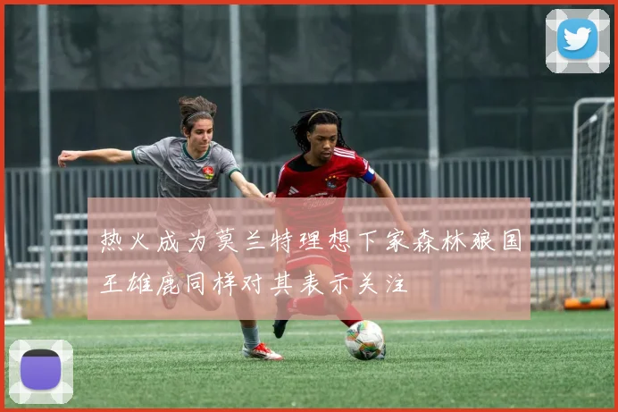 热火成为莫兰特理想下家森林狼国王雄鹿同样对其表示关注