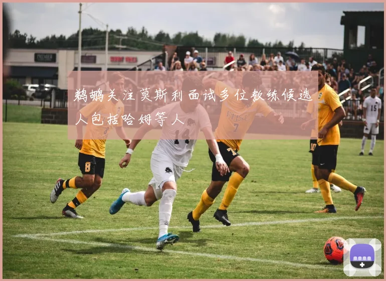 鹈鹕关注莫斯利面试多位教练候选人包括哈姆等人