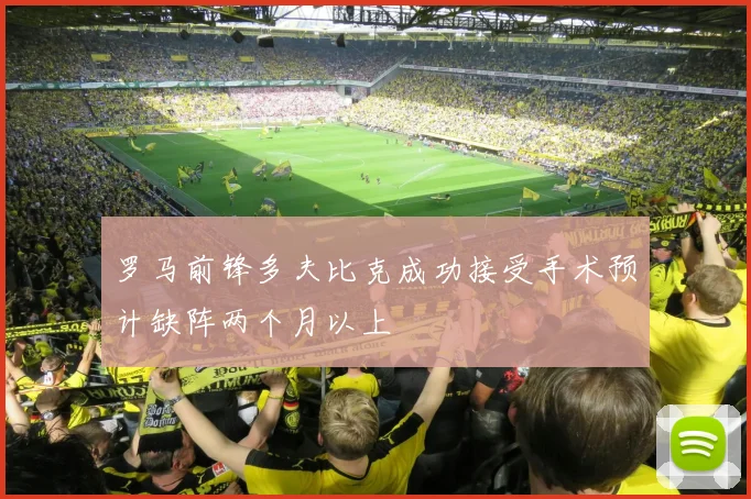 罗马前锋多夫比克成功接受手术预计缺阵两个月以上